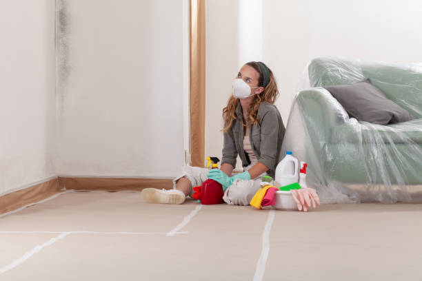 Reliable Mold Inspection contractor in Essex, IL by WQB Mold Removal
